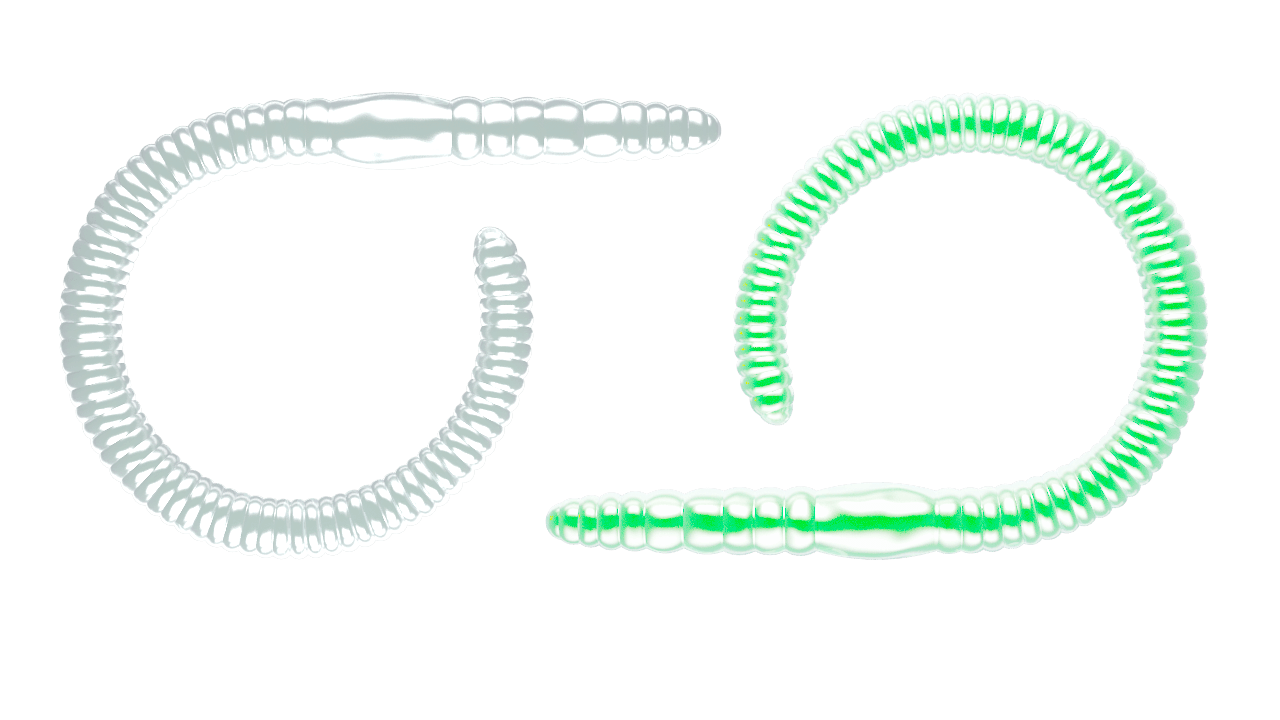 LIBRA LURES FLEX WORM 95mm Aroma Käse - SP-Fishing